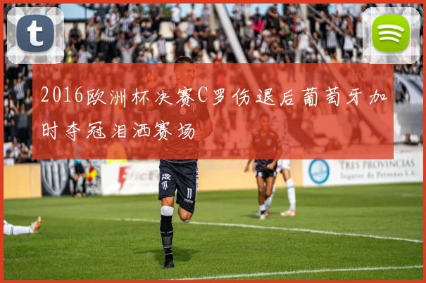 2016欧洲杯决赛C罗伤退后葡萄牙加时夺冠泪洒赛场