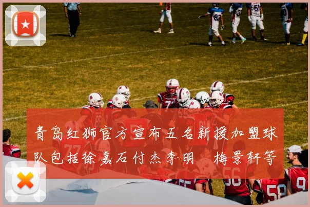 青岛红狮官方宣布五名新援加盟球队包括徐嘉石付杰李明璠梅景轩等球员