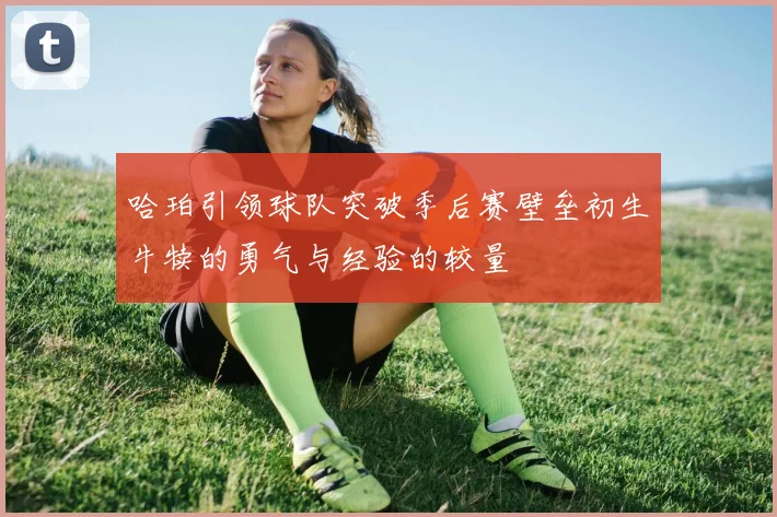 哈珀引领球队突破季后赛壁垒初生牛犊的勇气与经验的较量